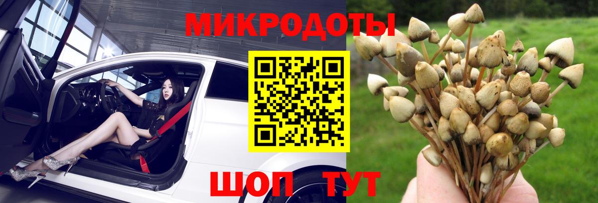 Псилоцибиновые грибы GOLDEN TEACHER  Галлюциногенные грибы мицелий  Вход с VPN  Серпухов 